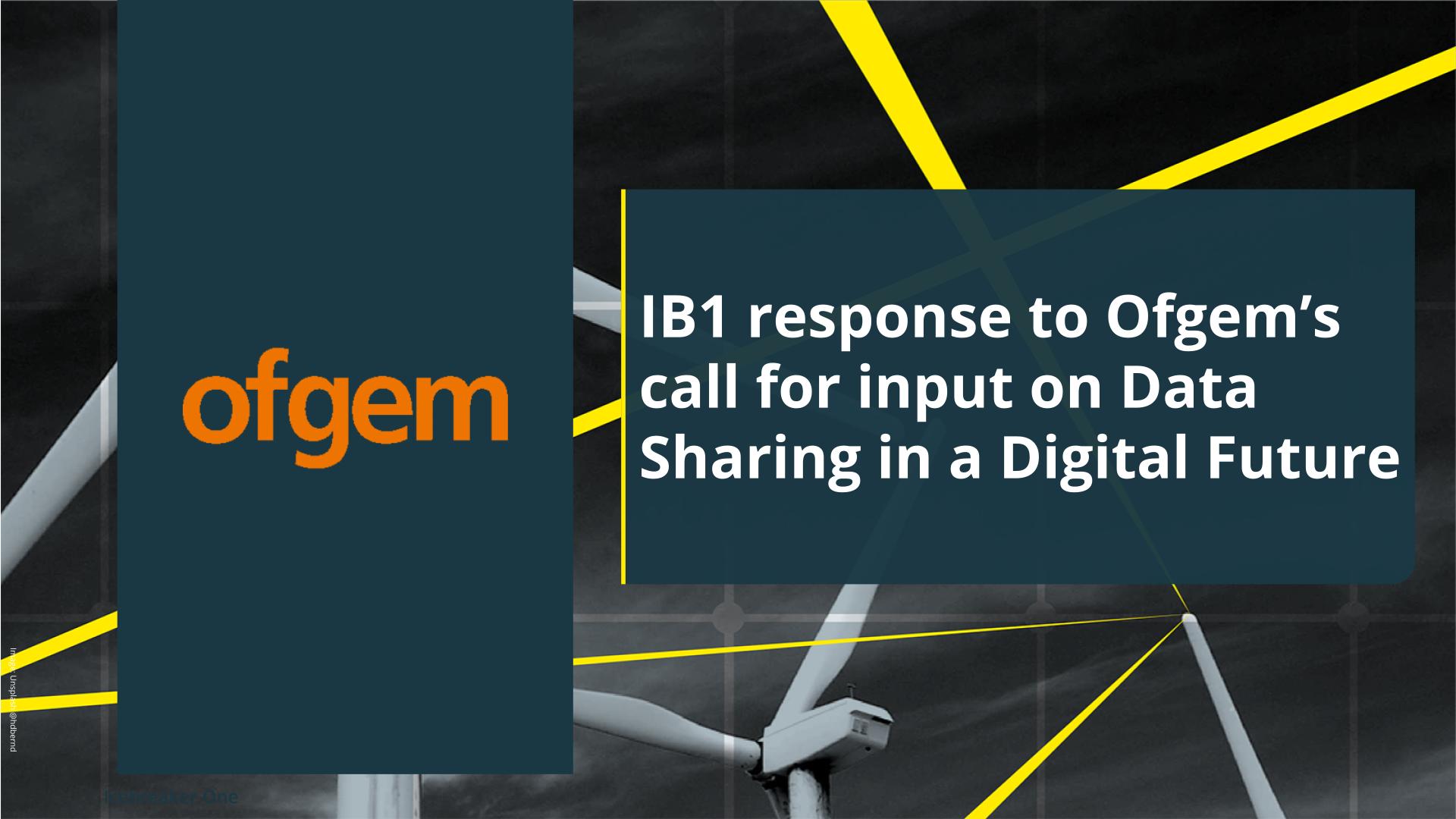 IB1 response to Ofgem’s call for input on Data Sharing in a Digital ...