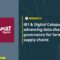 IB1 & Digital Catapult: advancing data sharing governance for farming supply chains