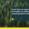From Data to Impact: Principles to unlock nature-positive investment